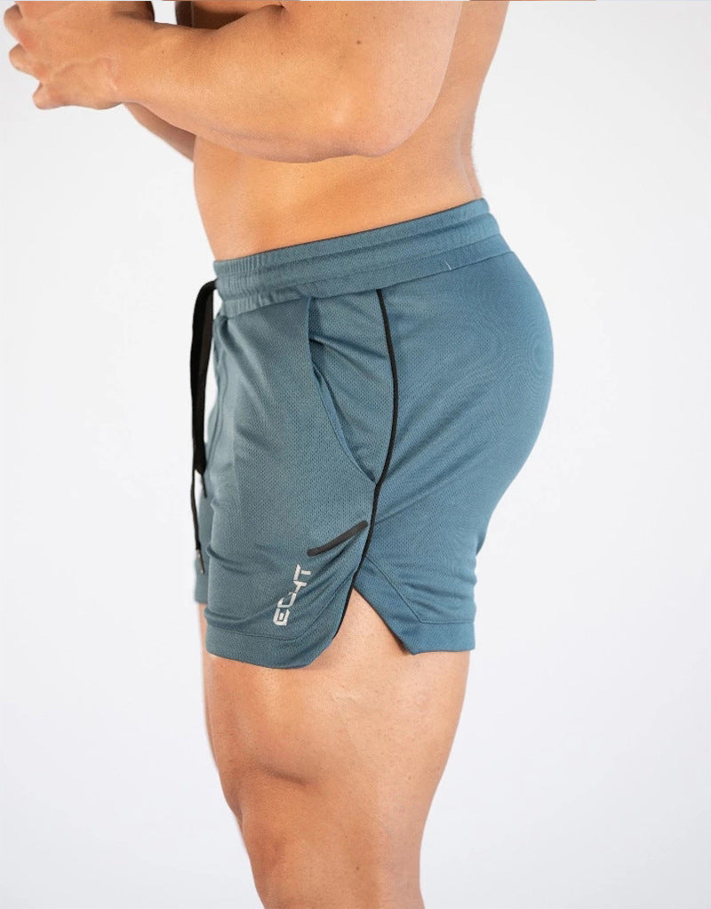 Fitness sports shorts