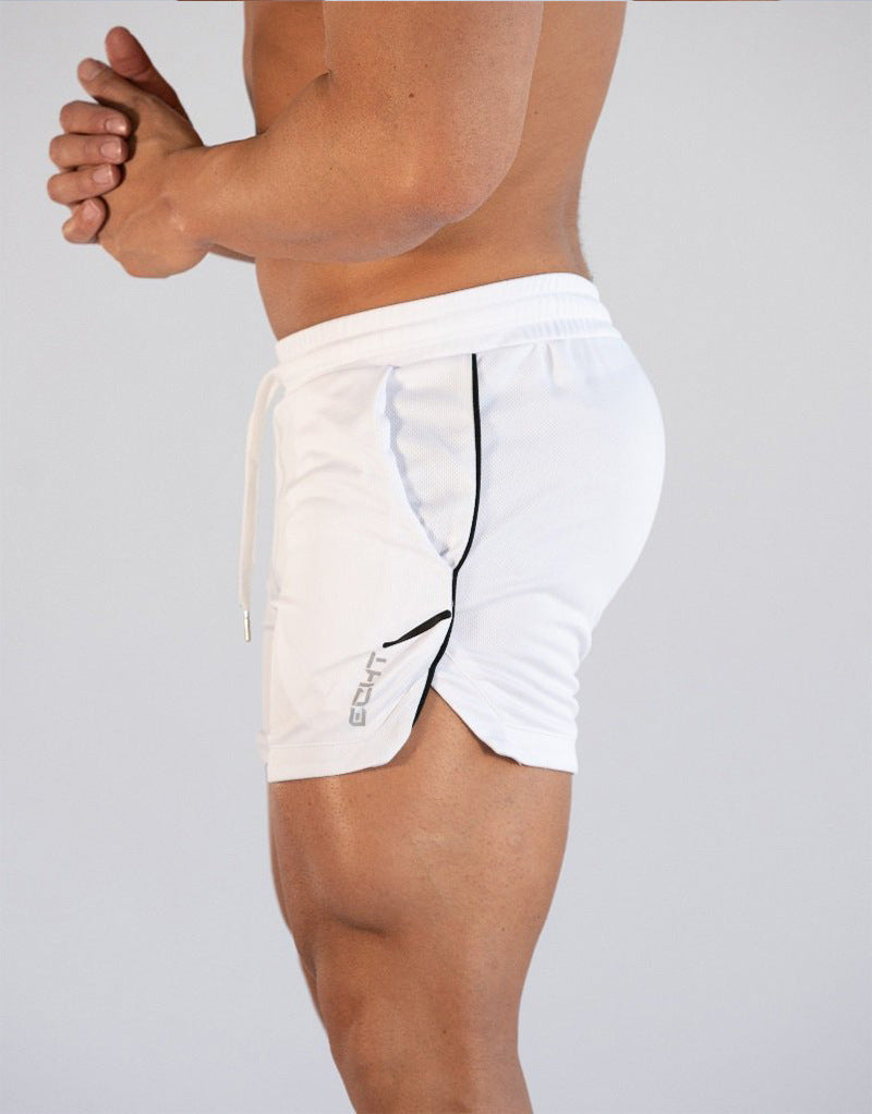 Fitness sports shorts